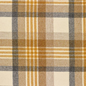 Cheltenham Mustard