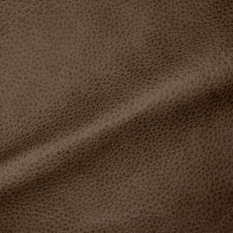 Aspen Sienna