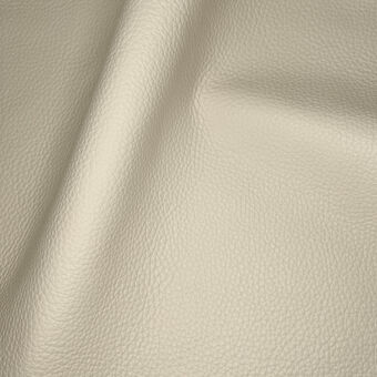 Wind Parchment