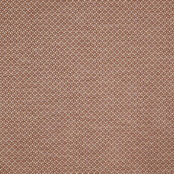 Westwood Apricot