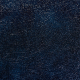 Windsor Blue